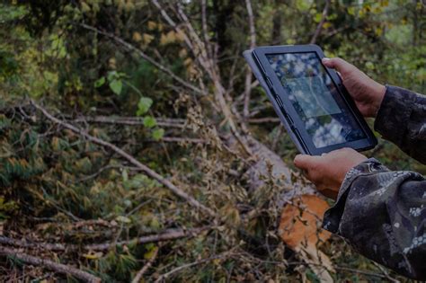 Cutting Edge Forest Monitoring Technology Leads The Way To Smarter