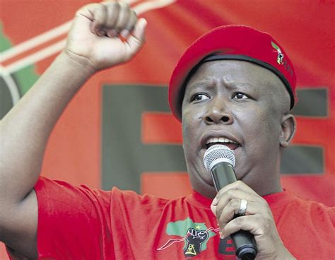 Malema Leave Anc Crooks Daily Sun