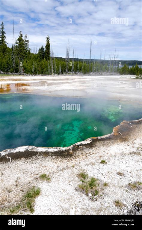 Geyser And Lakes In Yellowstone National Park Stock Photo Alamy