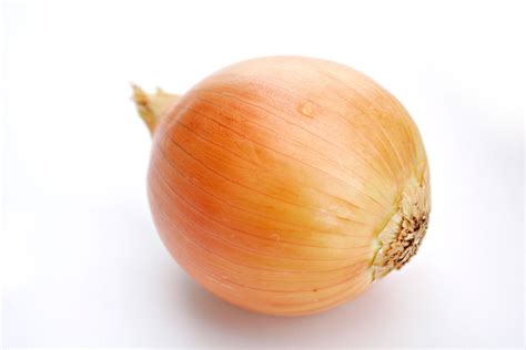 File:Onion white background.jpg - Wikimedia Commons