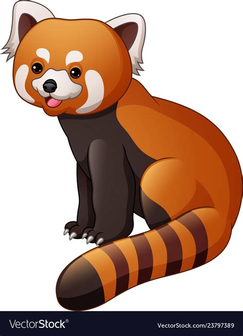 Red Panda Cartoon Images Learn How To Draw A Cartoon Red Panda