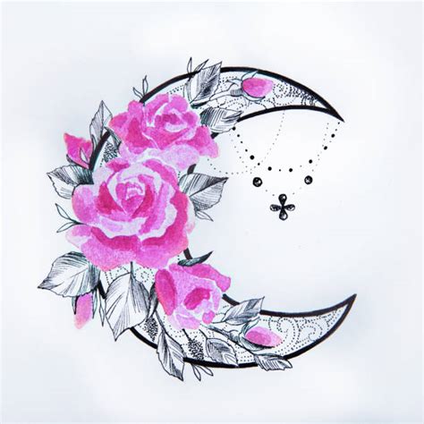 Moonflower Illustrations Royalty Free Vector Graphics And Clip Art Istock