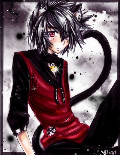 See more ideas about wolf boy anime, anime, anime cat boy. http://fc08.deviantart.net/fs71/i/2011/246/b/8/neko_boy ...
