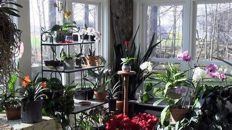 The Sunroom At Its Finest An Indoor Garden In Bloom Indoor Garden