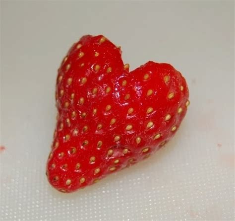 Casserole Blog Tutorial Heart Shaped Strawberry Makes A Lunchtime Treat