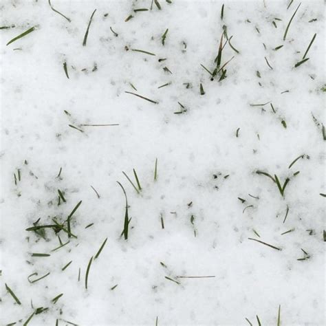 Snow With Grass Texture Seamless 12791