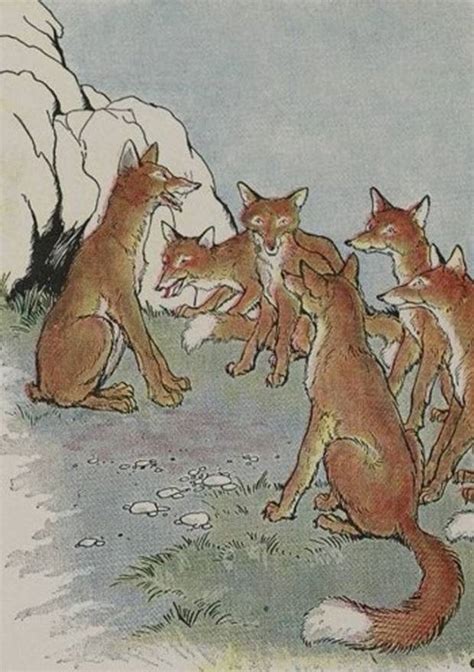 Aesops Fables The Fox Without A Tail