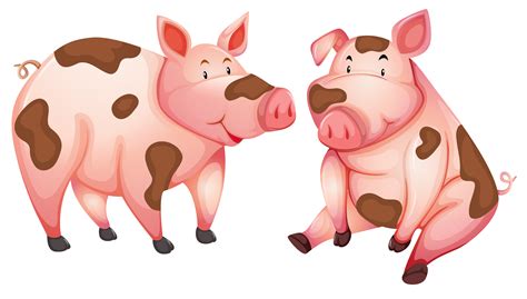 Dirty Cute Pigs White Background 303398 Vector Art At Vecteezy