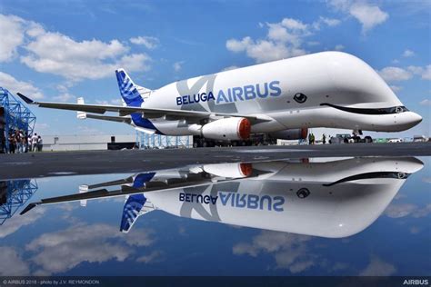 El Airbus Beluga Xl El Nuevo Avión De Cargas Ya Salió Del Taller Cultura Geek