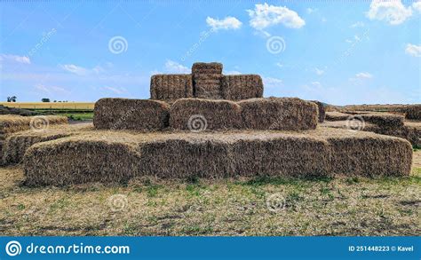 The Hay Blocks In The Field Under Blue Sky Stock Image Image Of
