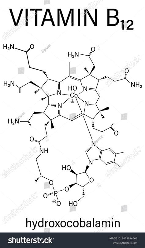 Hydroxocobalamin Vitamin B12 Molecule Skeletal Formula Stock Vector