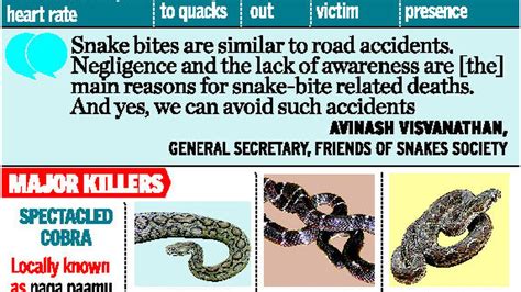 Snake Bite Deaths Highest In Ap Telangana The Hindu