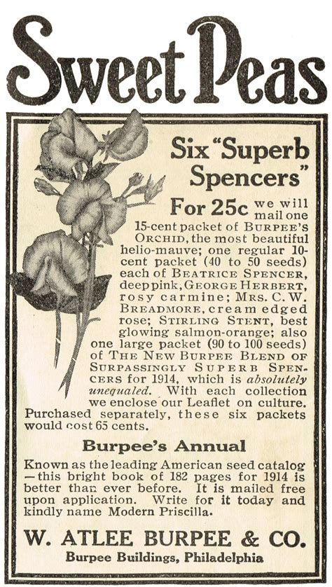 Antique Flower & Seeds Advertisement | Knick of Time