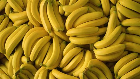 Banana Launcher Plants Vs Zombies Wiki Fandom Powered By Wikia