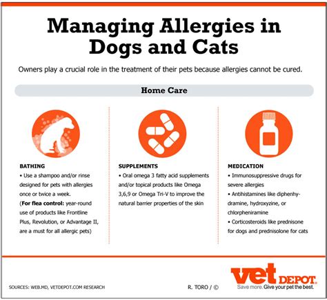 The symptoms of cat allergies vary depending on the protein someone is allergic to and their exposure to that protein. Symptoms of Dog Allergy That Some Owners Don't Know They ...