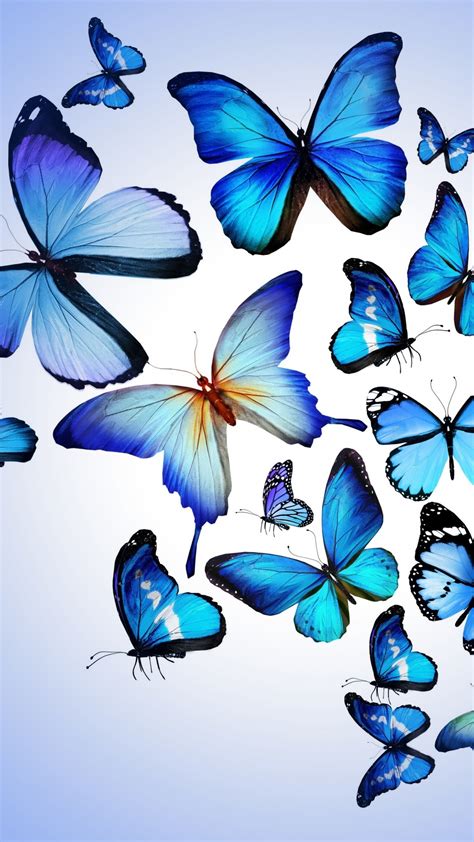 Iphone Cute Wallpaper Hd Butterfly Find The Best Butterfly Hd Wallpaper