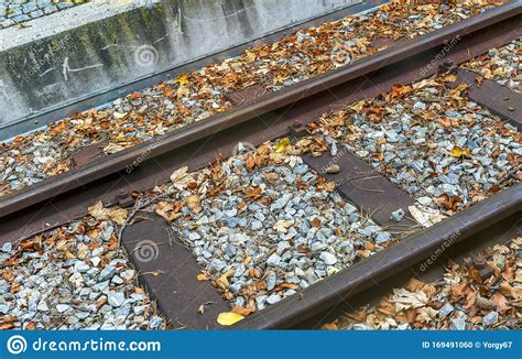 Old Railways In Bright Autumn Leaves Stock Photo Image Of Transport Leaves