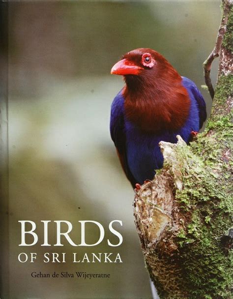 Birds Of Sri Lanka The National Trust