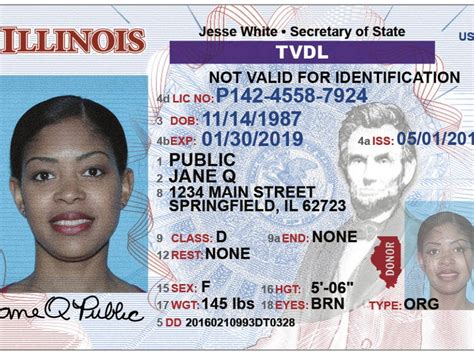Chicago Drivers License Requirements Litbrown