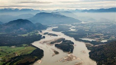 Warm Water Threatens What Should Be Bumper Year For Fraser River