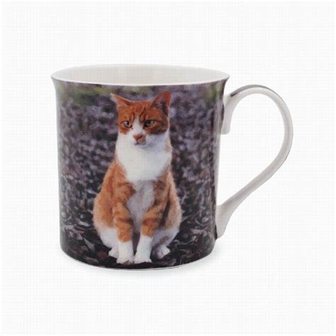 Ginger Cat Mug Lesser And Pavey
