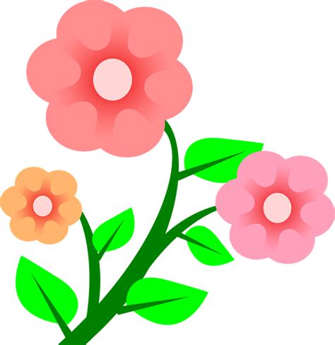 Flores Animadas Png Png Image Collection
