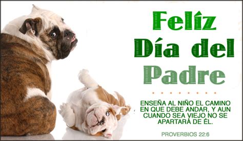 Los padres tienen simplemente la manera de poner todo junto y solucionar hasta lo más complicado. Feliz día del Padre: imágenes, frases, tarjetas, mensajes ...