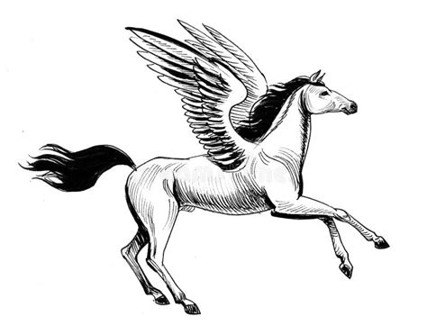 Beautiful Pegasus Stock Illustration Illustration Of Vintage 124144889