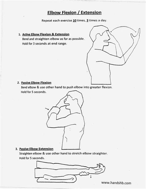 Hb Hands Elbow Flexion Extension Home Exercise Program Elbow