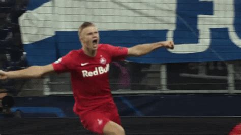 In the game fifa 21 his overall rating is 85. Erling Haaland Celebrating GIF by FC Red Bull Salzburg - Find & Share on GIPHY