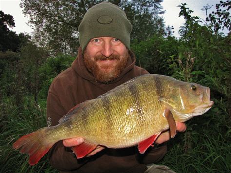 Coarse Fishing 2015 Round Up By Mike Lyddon Gardner Tackle