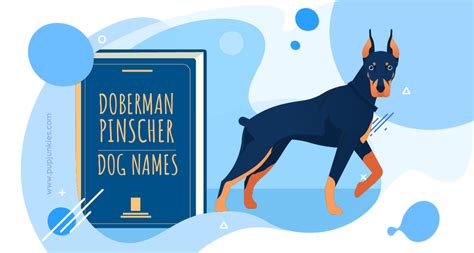 100 Most Popular Doberman Pinscher Dog Names Of 2021