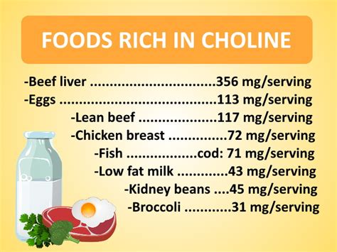 The main dietary sources of choline. Everything there is to know about choline