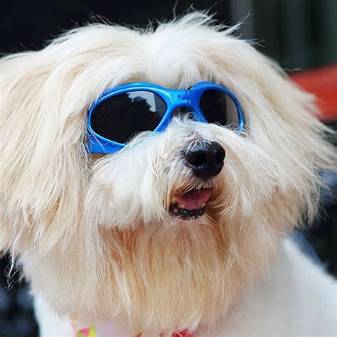 Looyuan Pet Dog Sunglasses Protective Eyewear Goggles Small
