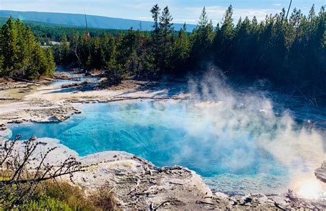 Emerald Spring At Yellowstone National Park Yellowstone Photography