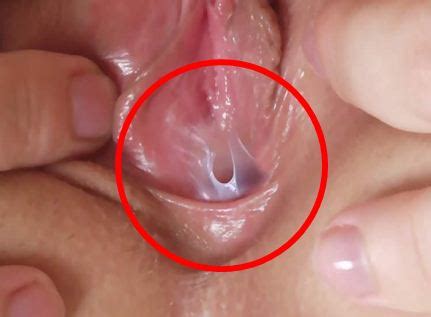 Vaginas Con Himen Quien Las Desvirga Poringa