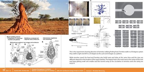 Soad 2050biomimicryparametric Desigin Termite Nest Soad School
