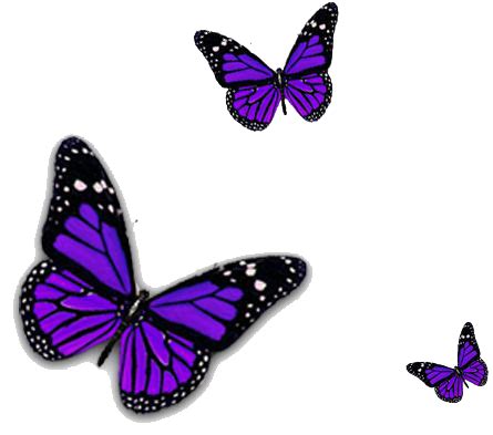 Purple Butterfly PNG Transparent Image | PNG Mart png image