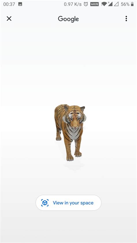 What you need to view 3d results: Tiger View In 3d Google View In Your Space - Rizop