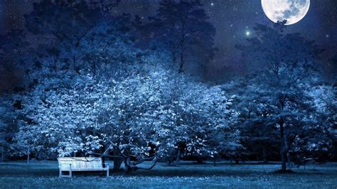 Wallpaper Night Bench Park Trees Stars Full Moon Sky Light