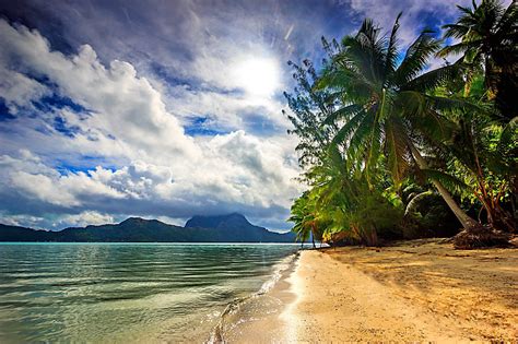 Palm Trees And Beach Nature Landscape Beach Sea Hd Wallpaper