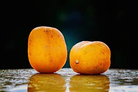 Two Ripe True Lemon Cucumbers On A Wet Surface Stock Image Image Of
