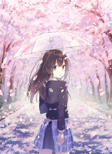anime cherry blossom girl wallpapers top free anime cherry blossom girl backgrounds