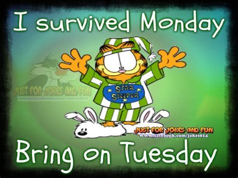 I Survived Monday Bring On Tuesday Pictures Photos And Images For