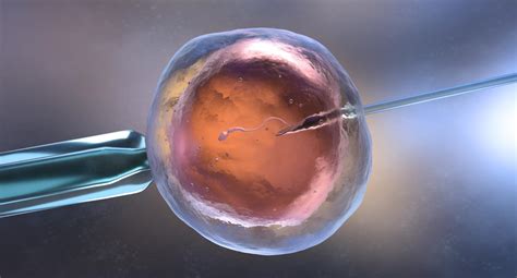 What Is The Ivf Process Step By Step