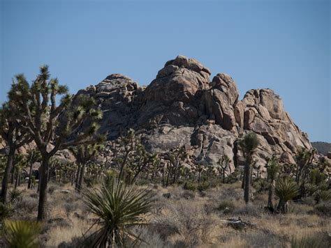 Desert Mountain Landscape Free Stock Photo Public Domain Pictures