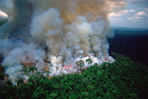 Brazil Faces Global Backlash Over Amazon Fires Tibet Sun