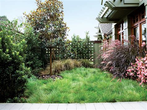 How To Plant A No Mow Lawn