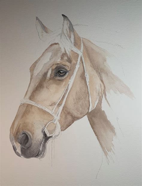 Horse Watercolor From Start To Finish