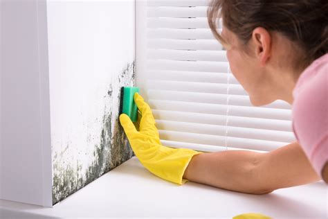 How To Get Rid Of Mold On Walls Permanently